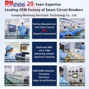 Rmshebei Tuya เครื่องวัด63A ตัดวงจรแบบปรับได้, เครื่องวัดพลังงานไวไฟมิเตอร์ดิจิตอลการรั่วไหลของดินเฟสเดียว63A 220V - Product Image 2