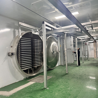 Vriesdroogmachine voor snoep, fruit, groenten en dehydratatie