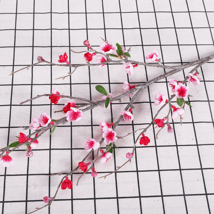 กุหลาบแดง