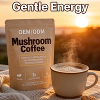 Café de hongos en polvo al por mayor para adultos |   Mezcla de Arábica Anti-Fatiga, Energética, Antioxidante, Certificada, con Logotipo Personalizado, Suministro al por Mayor