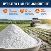 Chaux Agricole, Chaux Hydratée en Poudre, Chaux Calcaire Ca(OH)2 95% Min 325 Mesh pour l'Amélioration des Sols