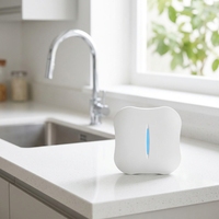 Détecteur de fuite d’eau KERUI Tuya Home Security Wifi Système de détection de fuite d’eau pour potage