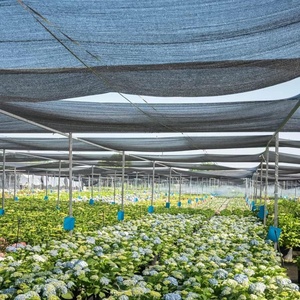 ตาข่ายบังแดดสำหรับการเกษตร ผลิตจาก HDPE ชนิดอัดรีด ป้องกันรังสียูวี 50% 70% 90% สำหรับโรงเรือนเพาะปลูก ป้องกันพืชผล ขายส่ง ขนาดตามสั่ง โรงงานผู้ผลิต - Product Image 4