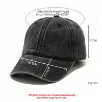 Gorras de Béisbol de Algodón Lavado sin Estructura con Bordado de Letras y Frutas, Estilo Dad Hat, de Moda, de la Marca Wins Flying