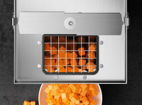 Compacte elektrische roestvrijstalen multifunctionele snijmachine/hakmolen/slicer met motor voor het snijden van wortelen, aardappelen en fruit
