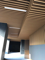 Panel de Techo Acústico Ignífugo de Aluminio Personalizado, Diseño Moderno con Ondas Extensibles para Oficina