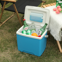 Petite glacière en plastique portable 13L pour congélateur, vin, stockage d'eau, garder les aliments au chaud, chaîne du froid