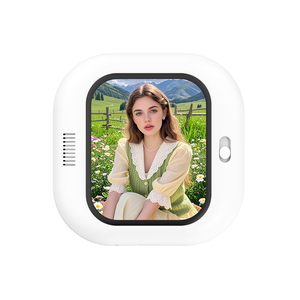 Écran portable personnalisé avec logo pour caméra arrière, moniteur <span class=keywords><strong>selfie</strong></span> à fixation magnétique pour kit de vlogging pour iPhone 17 16, pièce de téléphone portable - Product Image 4