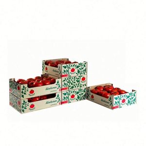 Customized Corrugated <b>Cardboard</b> <b>Boxes</b> for Fresh <b>Fruits</b> Vegetables by Manufacturers Are Durable and Environmentally Friendly - Product Image 3