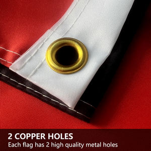 Быстрая доставка Индивидуальный Водонепроницаемый 3*5 футов 100% полиэстер уличный Малайзийский индийский Национальный конгресс Партийный Флаг - Product Image 4