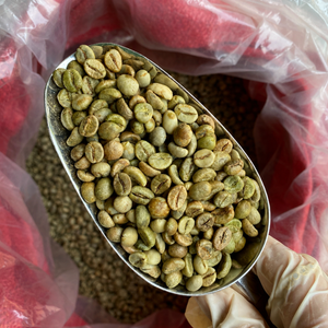 Sustainable Vietnam Robusta <b>Coffee</b> <b>Beans</b> Wholesale – Bulk Natural Green Unroasted Seeds OEM ODM Export Supply, 12% Moisture Stan - Product Image 5