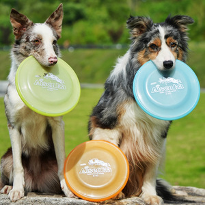 Frisbee pour chien, jouet d'entraînement professionnel, plastique résistant à l'usure, équipement de jeu d'agilité pour chien - Product Image 2