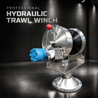Hydraulische Schleppwinde aus Edelstahl 304 mit 1-3 Tonnen Zugkraft BM3-400 Motor 100kg für Marine-Fischerboote