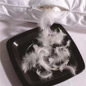 <span class=keywords><strong>Surmatelas</strong></span> épais personnalisé <span class=keywords><strong>en</strong></span> <span class=keywords><strong>duvet</strong></span> <span class=keywords><strong>de</strong></span> <span class=keywords><strong>canard</strong></span> <span class=keywords><strong>et</strong></span> d'oie, doux, à prix d'usine, pour la maison <span class=keywords><strong>et</strong></span> l'hôtel, tailles King <span class=keywords><strong>et</strong></span> Queen - Product Image 3