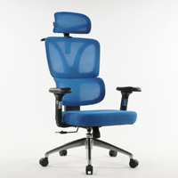 Chaise de bureau ergonomique en maille bleue avec dossier réglable, accoudoirs 4D, appui-tête et porte-vêtements, pieds en alliage d'aluminium