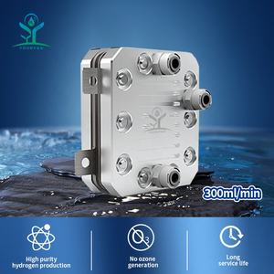 Electrodo de hidrógeno Gitan H2 CE 1000 ml/min, fabricante de electrolizador/electrolizador electrolítico de agua Pem/Spe - Product Image 5