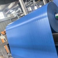Tissu PVC enduit de 280 à 2000 GSM, poids, largeur et couleur personnalisés, conforme REACH RoHS, vinyle enduit ignifuge pour auvent et bâche de camion