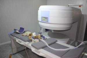 EUR VET hayvan hastane manyetik rezonans görüntüleme tarama makinesi veteriner ekipmanları Pet <span class=keywords><strong>Mri</strong></span> makinesi 0.35T 1.5 T 3 t - Product Image 4