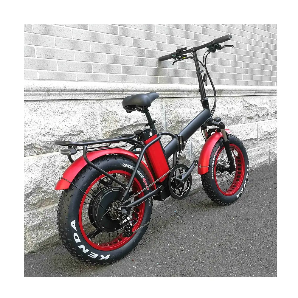전자 자전거 지방 타이어 1000W/2000W 20Ah 48V 여성 전자 자전거 내리막 전자 자전거 산악 자전거 오토바이 사이클