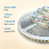 Bande LED SMD 2835 24V 8MM 120 LED/M 20M de long, sans chute de tension, 90CRI, sans scintillement, coupable toutes les 1 LED