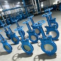 Válvula de Compuerta de Acero Fundido 304SS de Grado Superior para Minería y Polvo