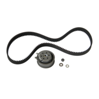 Phụ Tùng Ô Tô Phụ Tùng Schaeffler 06a109119 Bán Sỉ Xe Hệ Thống Động Cơ Thời Gian Vành Đai Thời Gian Ròng Rọc Phù Hợp Cho Ghế V.W