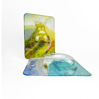Impression personnalisée Impression UV Matériaux recyclés Plastique PVC Thermoformage Emballage en blister Boîte Embossage Artisanat Cadeau OEM/ODM