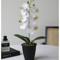 Vente en gros d'orchidées artificielles de haute qualité, fleurs d'orchidées artificielles au toucher réel, pot rond pour la décoration de la maison