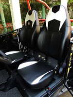 Véhicule tout-terrain Fangpower Fx400 Predator Side by Side 2 places pour adultes