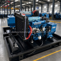 Groupe électrogène diesel silencieux Baudouin 20kw 30kw 50kw, moteur diesel, sortie directe usine, 50/60hz, triphasé