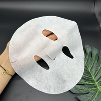 Feuille de masque facial sec en microfibre jetable OEM 35g soins de la peau naturels en fausse peau humaine directement de l'usine