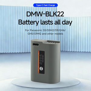 Batterie rechargeable OEM/RingTeam, plusieurs modes de charge, alimentation USB-C, batterie d'appareil photo DMW-BLK22 pour <span class=keywords><strong>Panasonic</strong></span> Lumix <span class=keywords><strong>DC</strong></span>-<span class=keywords><strong>S5</strong></span> <span class=keywords><strong>DC</strong></span>-S9 G9 - Product Image 2