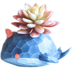 P145 <span class=keywords><strong>Mini</strong></span> pots de plantes succulentes décor de bureau petit <span class=keywords><strong>pot</strong></span> de plante baleine <span class=keywords><strong>pot</strong></span> de fleur d'intérieur <span class=keywords><strong>en</strong></span> résine - Product Image 6