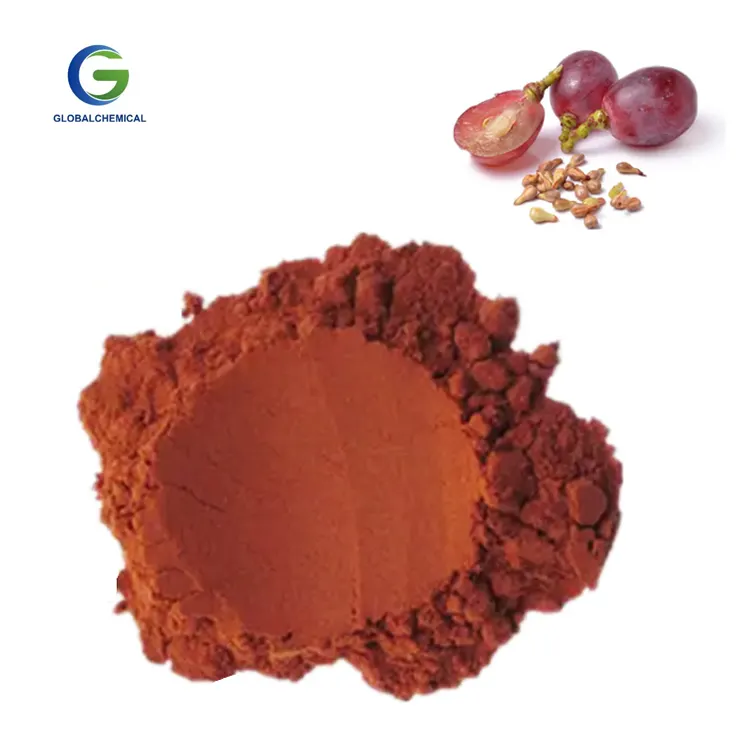 Supplement Natuurlijke Druivenpitten Fruit Extract Opc 95% Huid Druivenpitten Droog Extract