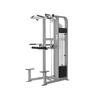 Máquina Profesional de Dominadas Asistidas con Peso, Estación de Flexiones, Equipo Multigimnasio con Carga de Placas para Entrenamiento de Fuerza del Core