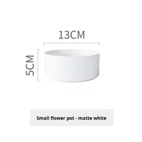 Pots à fleurs en céramique de porcelaine modernes en gros, style nordique simple, pour succulentes, grand diamètre, populaires à l'international, hydroponiques jetables