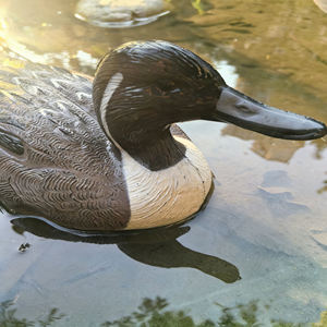 Décoys gonflables personnalisés en plastique léger et étanche pour la chasse en extérieur, imitation de canard mandarin - Product Image 2