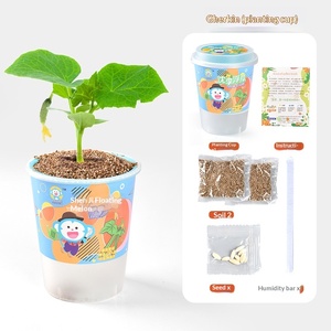 Kit de Experimentos Científicos para Niños de Jardín de Infancia y Primaria, Juguete STEM, Paquete de Materiales para Manualidades, Papel - Product Image 6