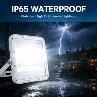Projecteur LED extérieur RONSE IP65 étanche 30 Watts 220 Volts à large faisceau 90° °   Projecteur LED à angle de faisceau large