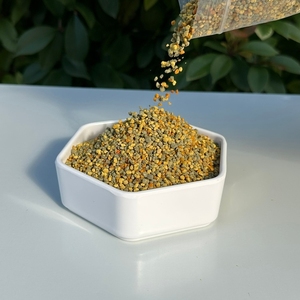 Polen de Abeja Mixto 100% Natural y Orgánico - Polen de Múltiples Fuentes Florales de Alta Nutrición para Suplemento Alimenticio de Grado Alimenticio - Product Image 2