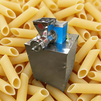 Machine à pâtes spaghetti et macaroni avec différents moules, extrudeuse à pâtes, machine à former des nouilles en tube creux