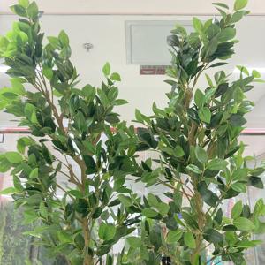 G25042306 Árbol de Limón Artificial de Hojas Verdes en Maceta, Decoración Moderna para Interiores, Decoración Artificial de Gran Tamaño, Barato, de Fábrica China, 120 cm - Product Image 6