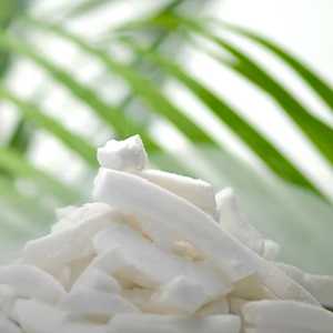 OEM más vendidos Macapuno Coco Rico Sabor Película Snack ISO HACCP Certificado Vietnamita Proveedor Fabricante - Product Image 5