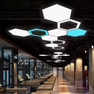 Custom <b>Modern</b> Hanging <b>LED</b> Hexagon Pendant <b>Light</b> Office Gym <b>Ceiling</b> Lighting Iron Material - Product Image 3