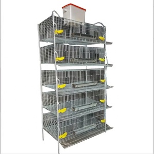 อุปกรณ์ฟาร์มเลี้ยง<span class=keywords><strong>ไก่</strong></span>และนกกระทาแบบ 5 ชั้น รุ่น H สำหรับ<span class=keywords><strong>ไก่</strong></span>ไข่ อะไหล่เครื่องจักรกลการเกษตร รับน้ำหนักได้ 40 กก. รับประกัน 1 ปี จากเหอเป่ย - Product Image 5