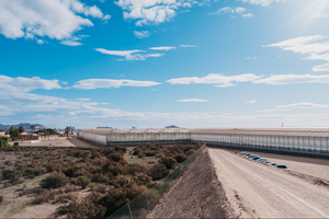 <span class=keywords><strong>1000</strong></span> mét Vuông Nông Nghiệp Nhà kính với các tùy chọn để bán - Product Image 2