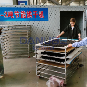 Nouvelle Chambre de Séchage à Pompe à Chaleur pour Fruits, Équipement de Déshydratation de Myrtilles, Machine à Sécher les Myrtilles - Product Image 1