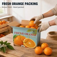 Boîte cadeau personnalisée avec logo, imperméable, pour fruits et légumes, emballage en carton ondulé avec poignée, écologique, recyclable, OEM, vente en gros