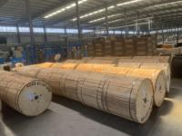 100M Span Overhead Autoportante Messenger Stripe Sheath SM 12 FO Fiber G652D 36 Core Fig8 Cable de fibra óptica GYTC8Y GYTC8S