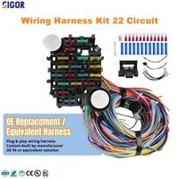 Arnés de Cables Universal de 22 Circuitos con Conector GM para Columna de Dirección, Cables de Cobre GXL Codificados por Colores para Autos Clásicos, Hot Rods y Camionetas